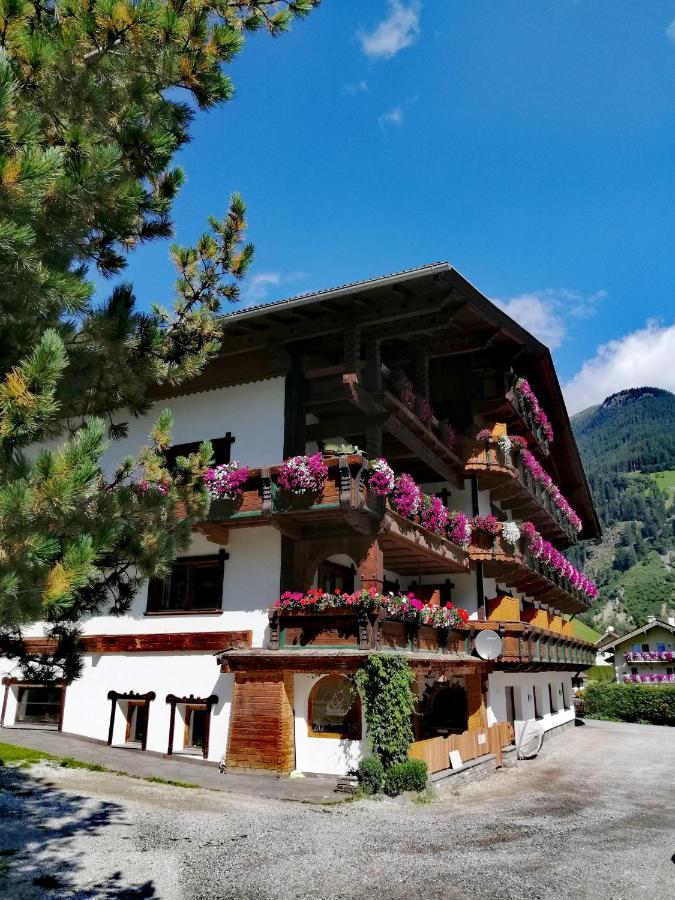 Haus Waldesruh Apartman Neustift im Stubaital Kültér fotó