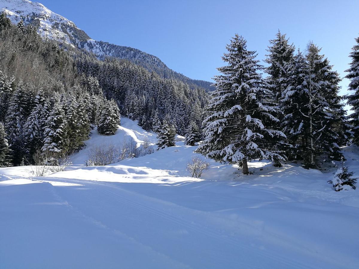 Haus Waldesruh Apartman Neustift im Stubaital Kültér fotó