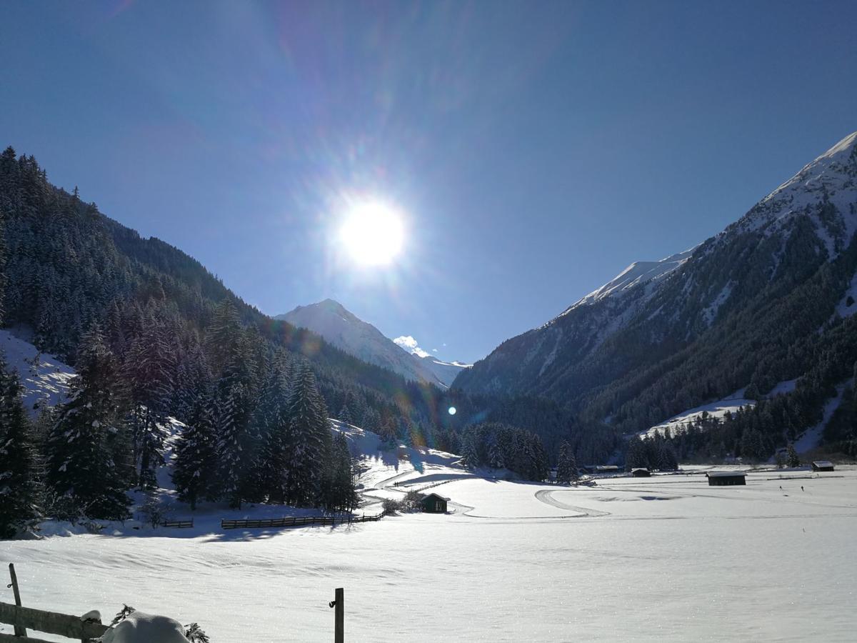 Haus Waldesruh Apartman Neustift im Stubaital Kültér fotó