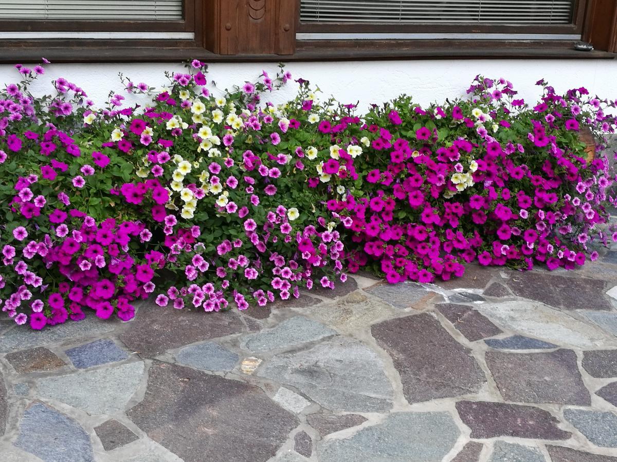 Haus Waldesruh Apartman Neustift im Stubaital Kültér fotó